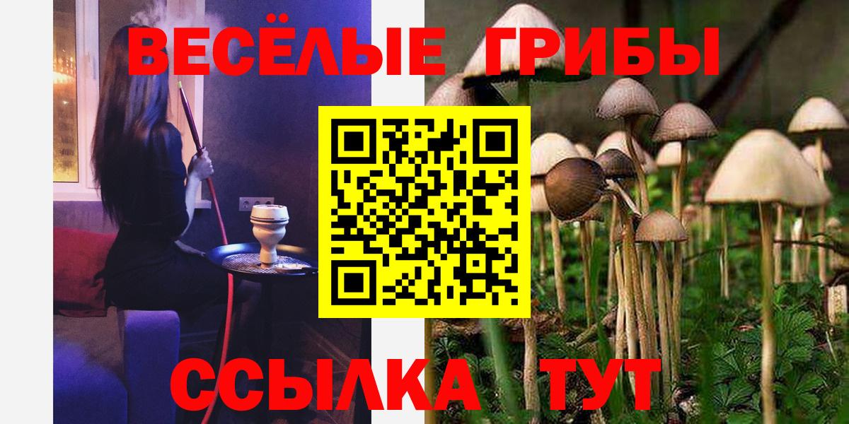 Елабуга  Галлюциногенные грибы мухоморы  Вход с VPN 