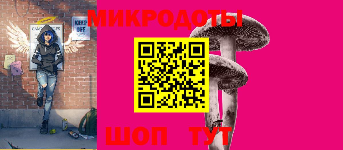 Галлюциногенные грибы Psilocybe Елабуга